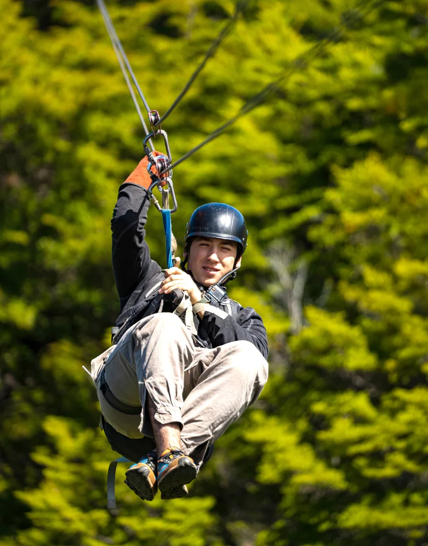 canopy-galeria-001