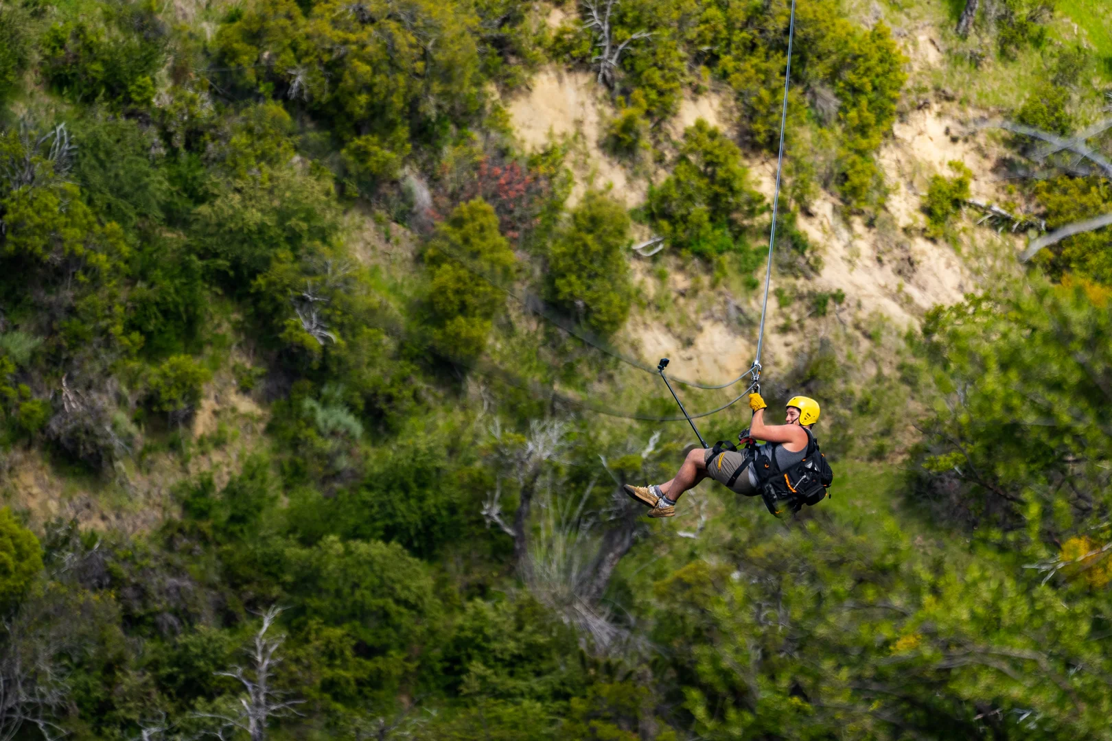 canopy-galeria-002