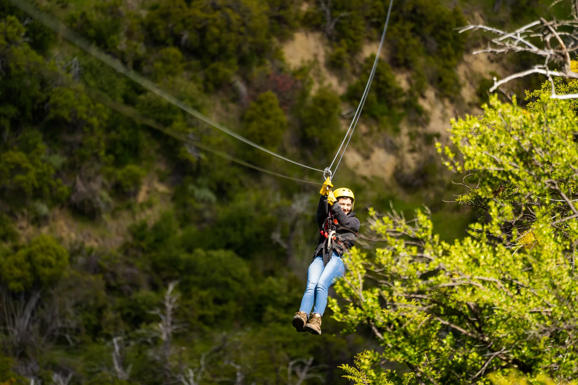 canopy-galeria-004